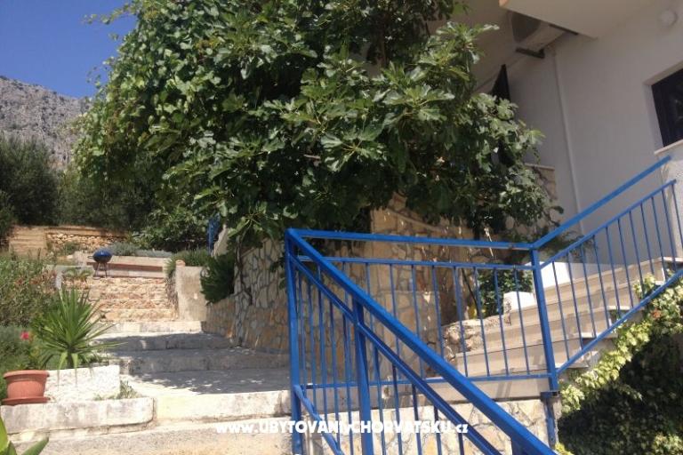 Apartamenty Dragana – foto 14