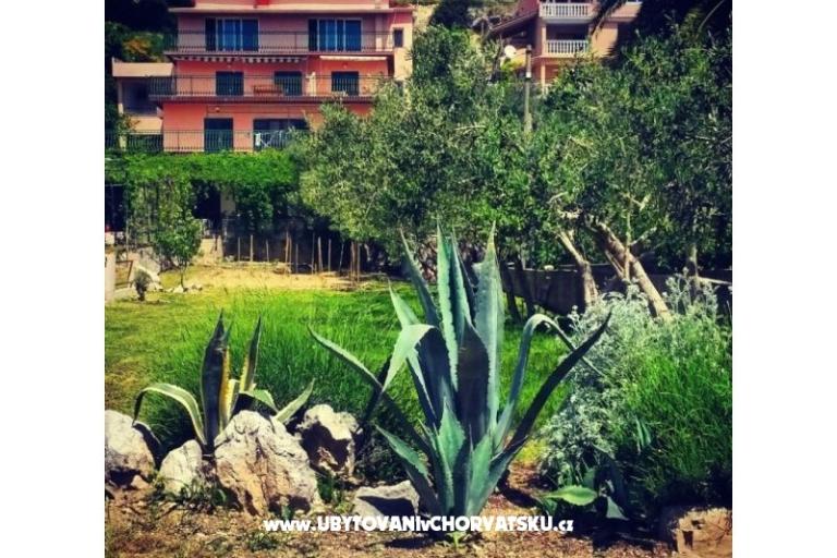 Apartamenty Dragica – foto 2