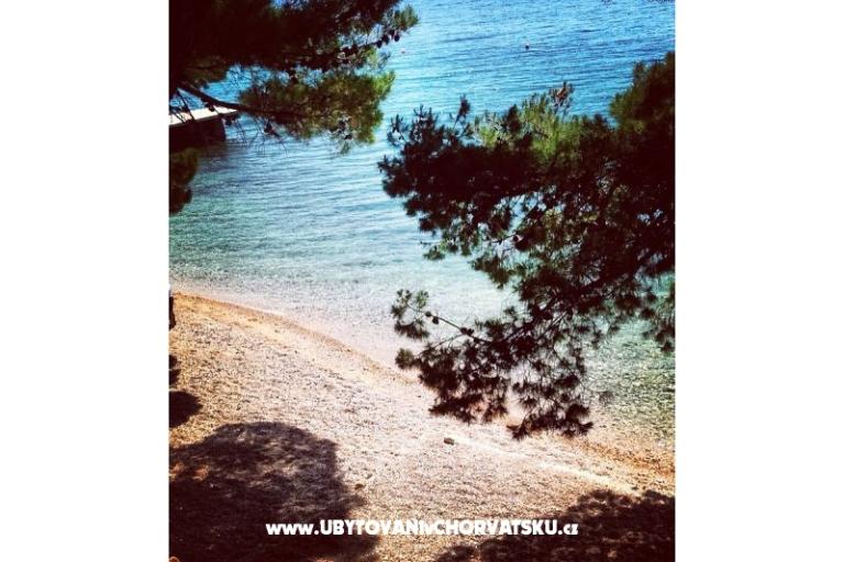 Apartamenty Iko – foto 11