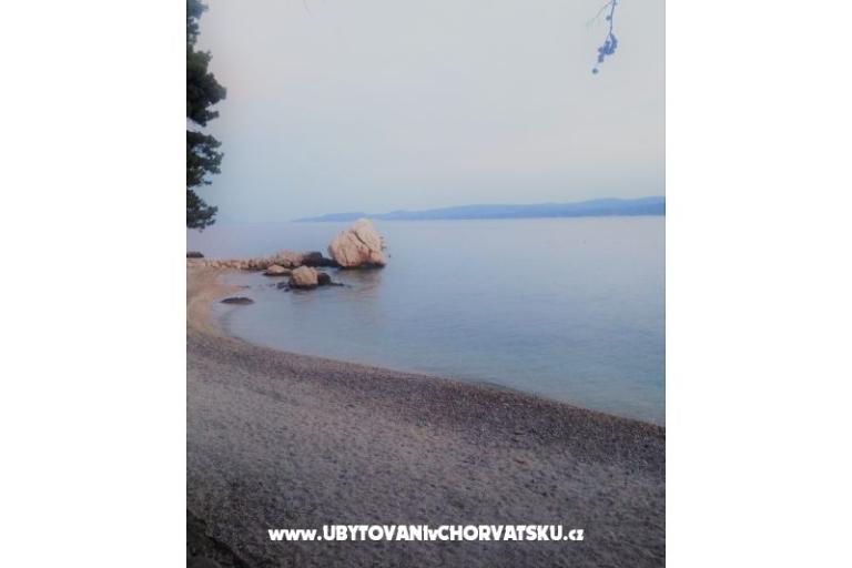Apartamenty Iko – foto 13