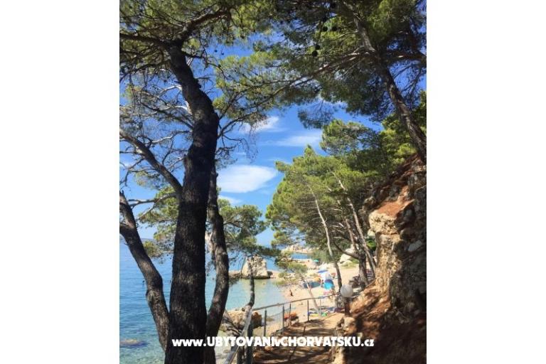 Apartamenty Iko – foto 16