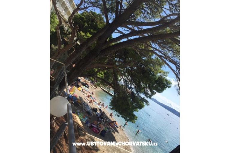 Apartamenty Iko – foto 18