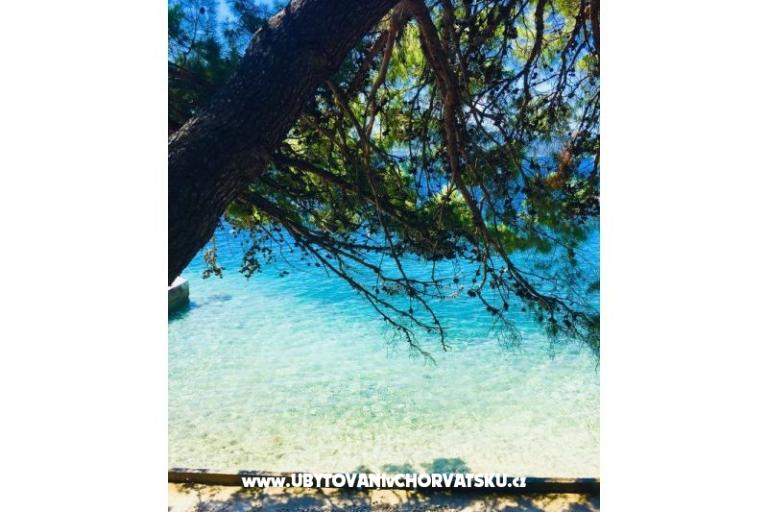 Apartamenty Iko – foto 8