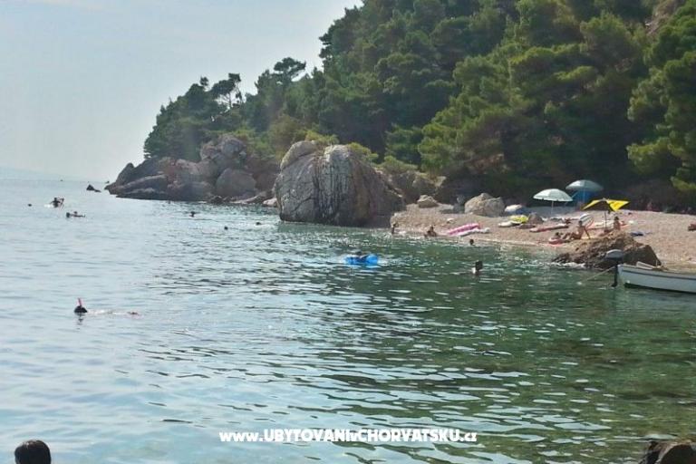 Apartamenty Juričić Pisak – foto 17