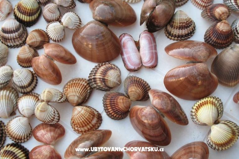 Apartamenty Kaktus – foto 11