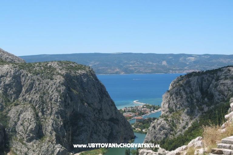 Apartamenty Kaktus – foto 13