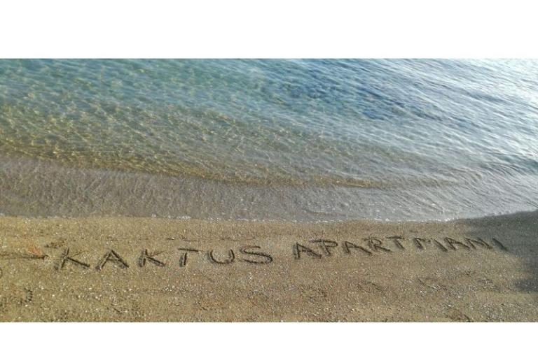 Apartamenty Kaktus – foto 8
