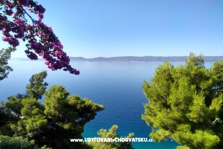 Apartamenty Katica – foto 12