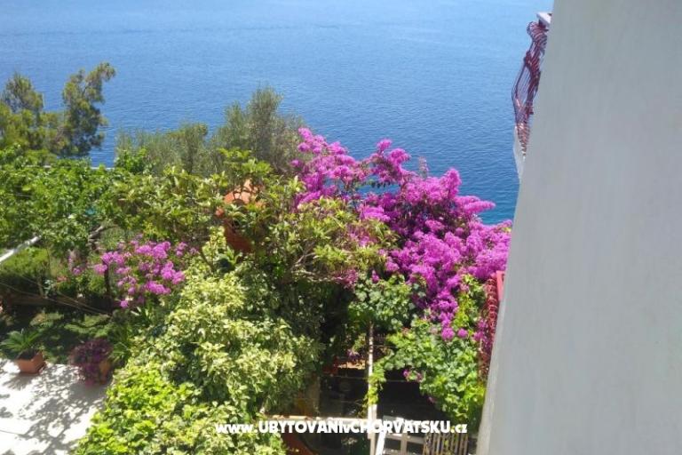 Apartamenty Katica – foto 21