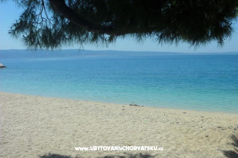 Apartamenty Maja – foto 10