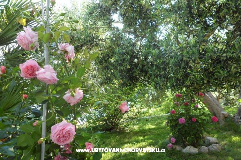 Apartamenty Maja – foto 6