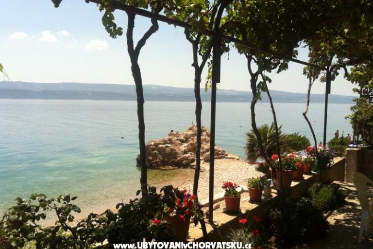 Apartamenty Miladin Mimica – foto 6