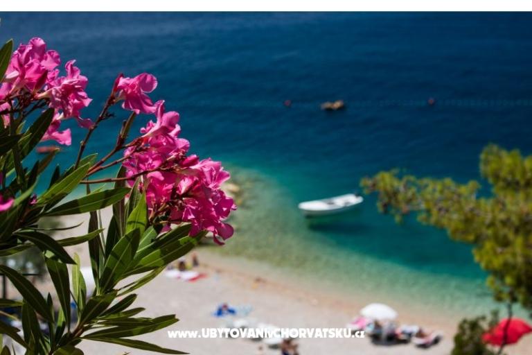 Apartamenty Mira – foto 17