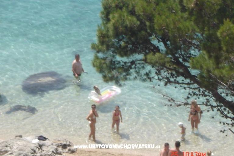 Apartamenty Mira – foto 9