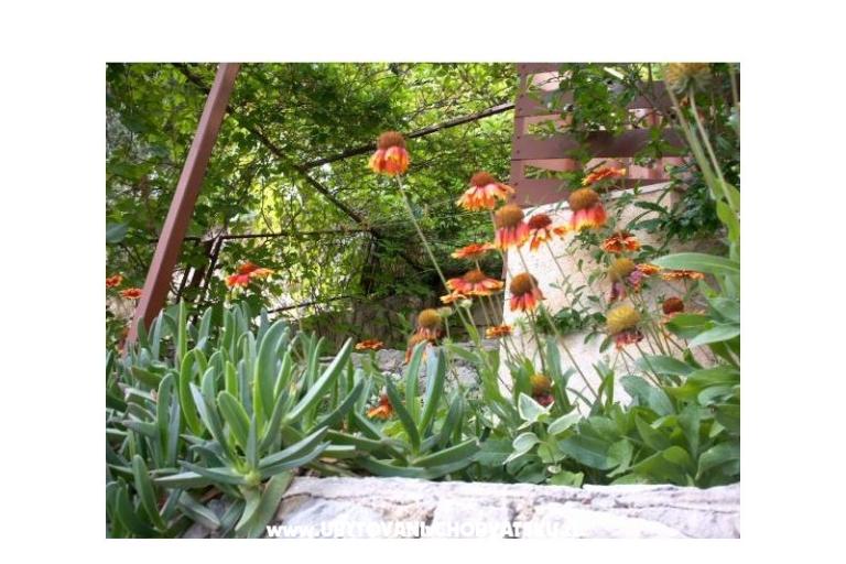 Apartamenty Mirjana – foto 11