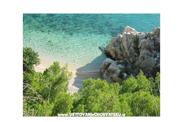 Apartamenty Mirjana – foto 5