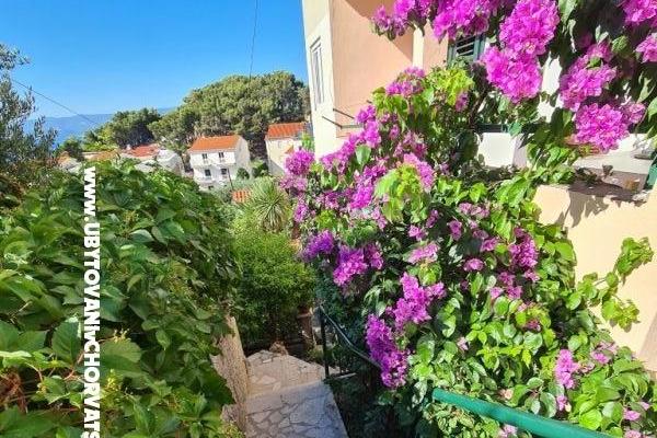 Apartamenty Miro, Duće – foto 5