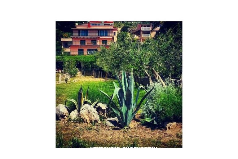 Apartamenty Miro, Duće – foto 7