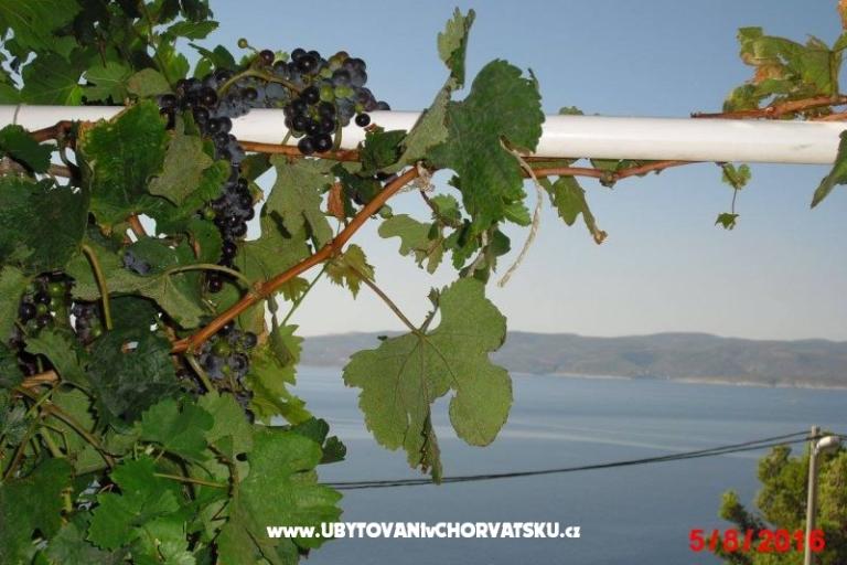 Apartamentts More ***Marušići – foto 10