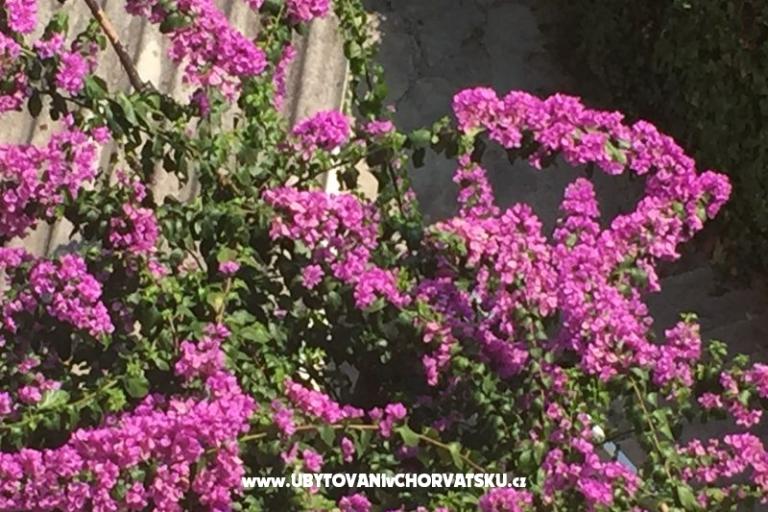 Apartamenty Nejašmić – foto 17