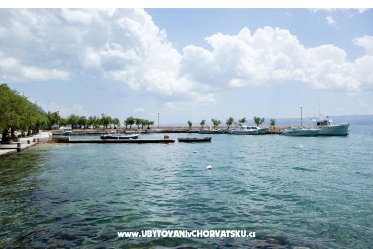 Apartamenty Pavlović Duće – foto 13