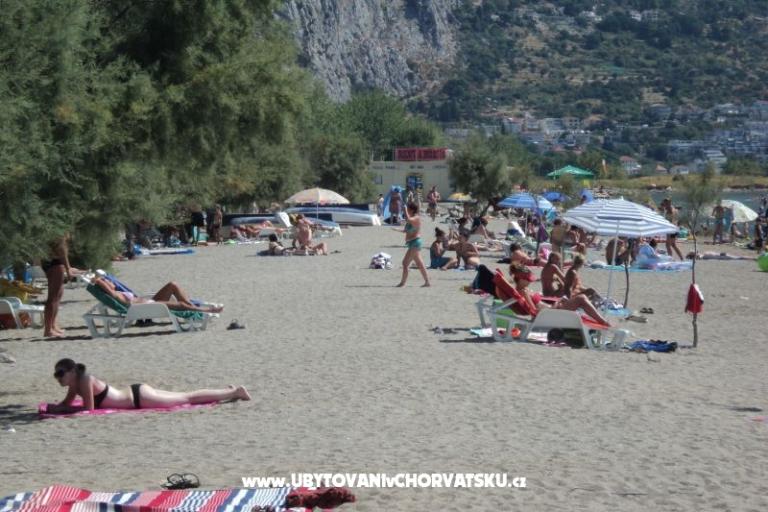 Apartamenty Mihovil – foto 4