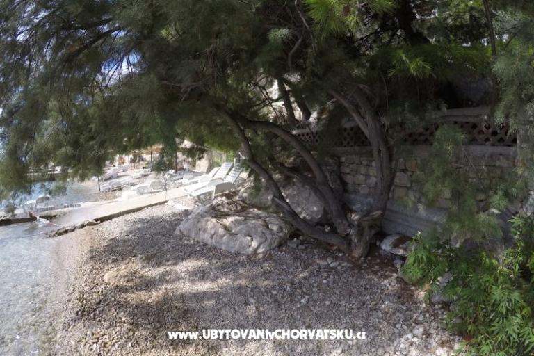 Apartamenty Steffi – foto 14