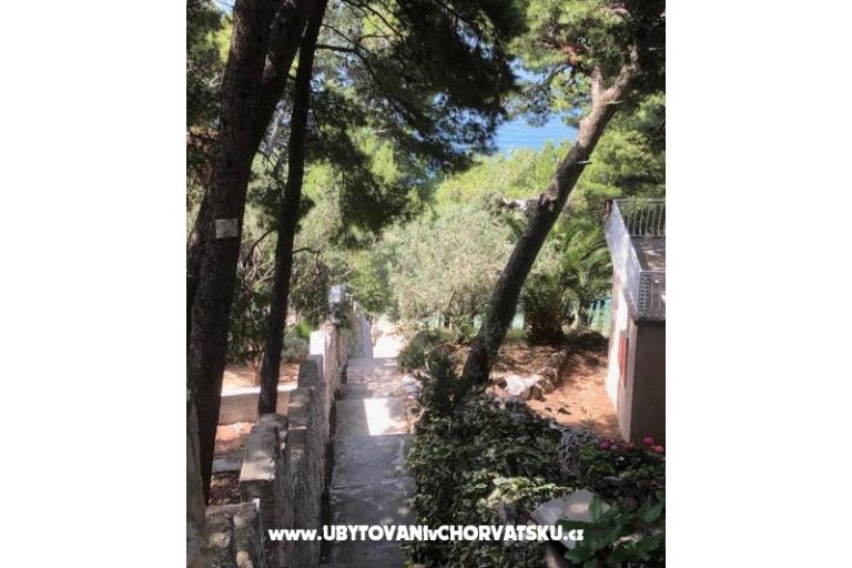 Apartamenty Sviličić – foto 13