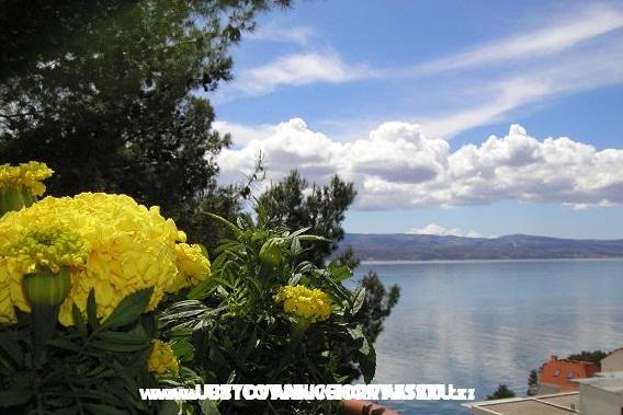 Apartamenty Tice – foto 5
