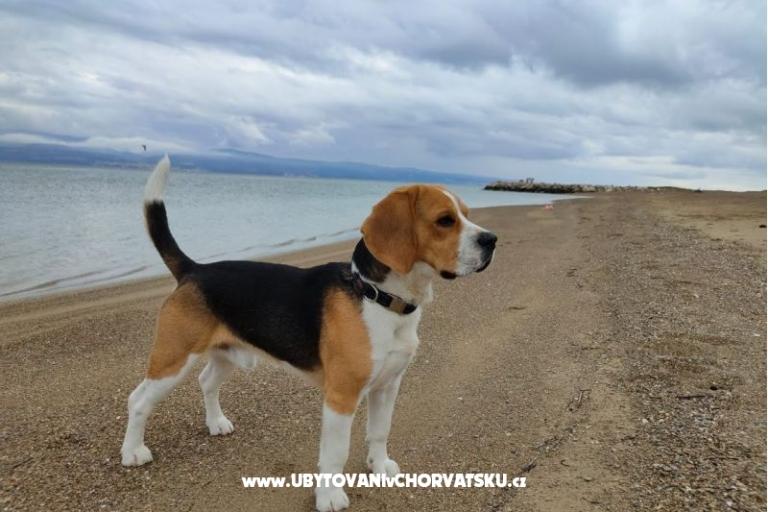 Apartamenty Tomasović Omiš – foto 17