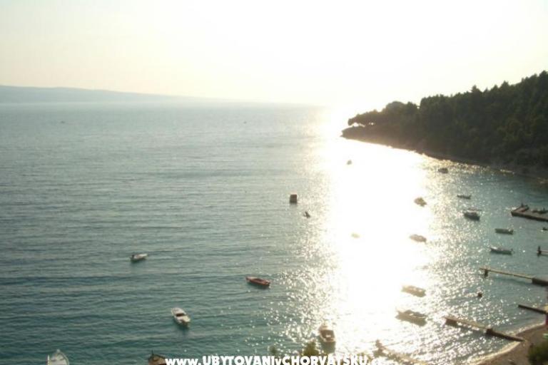 Apartamenty Velika Luka – foto 8