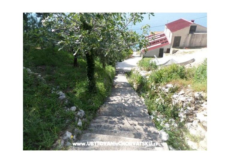 Apartamenty Villa Dodig – foto 9