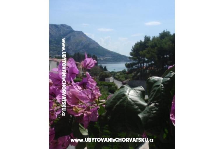 Apartamenty Vinka Saric – foto 2