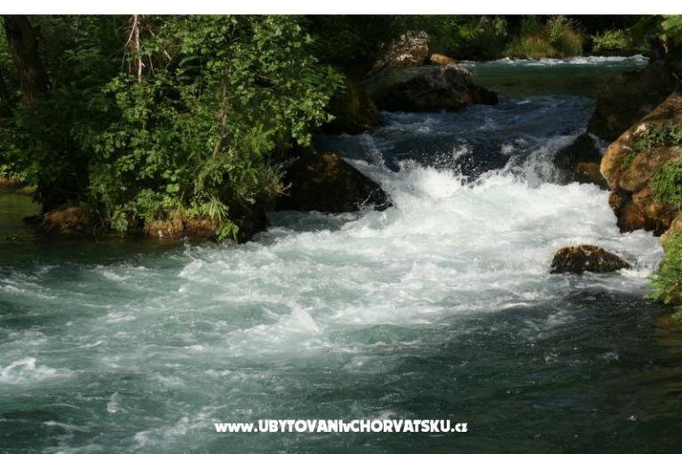 Apartamenty Višnja – foto 28