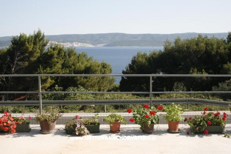 Apartamenty Višnja – foto 2