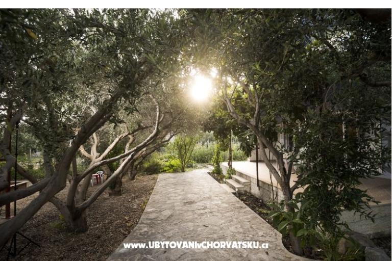 Apartament Toni – foto 3