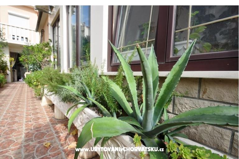 Apartamenty Babaja – foto 15