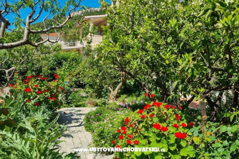 Apartamenty Diridonda – foto 43