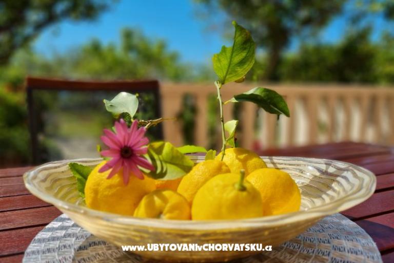 Apartamenty Diridonda – foto 46