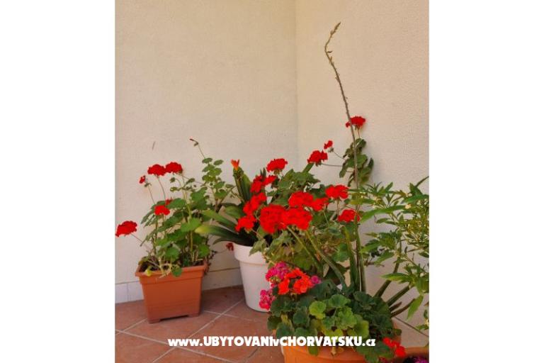 Apartamenty Diridonda – foto 48