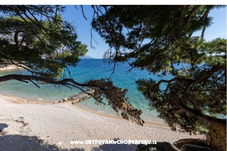 Apartamenty LIKI – foto 44