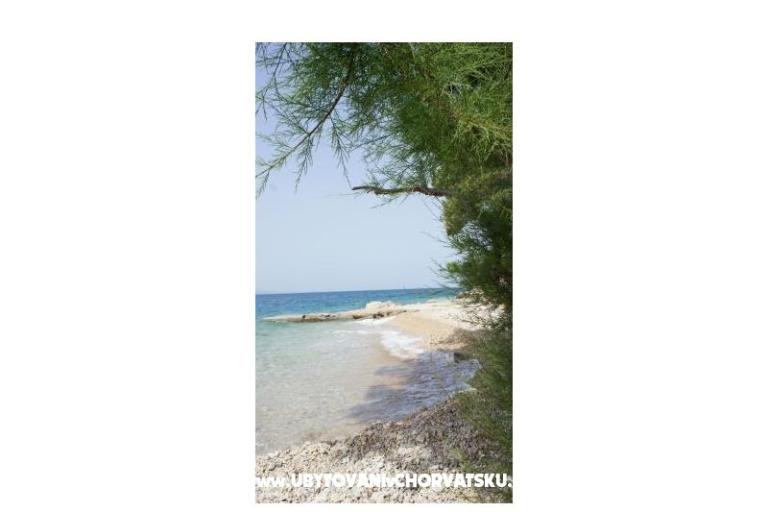 Apartamenty Lile – foto 6