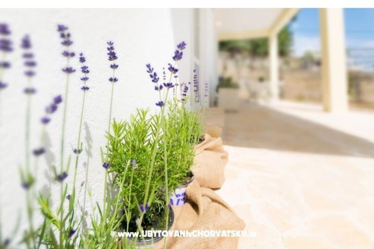 Apartamenty Mara – foto 5