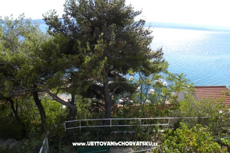 Boženka Dom – foto 4