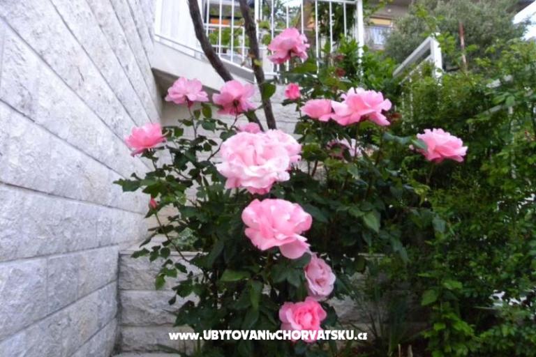Boženka Dom – foto 6