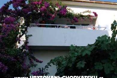  Calypso Diving Apartamenty – foto 11