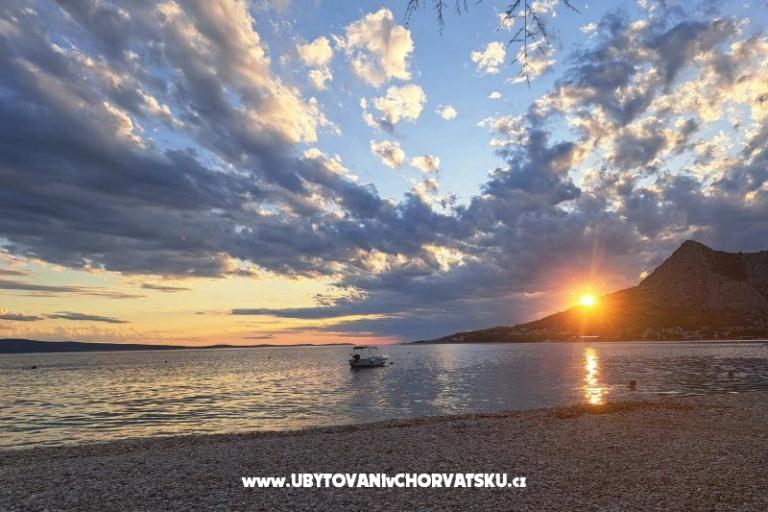  Calypso Diving Apartamenty – foto 16