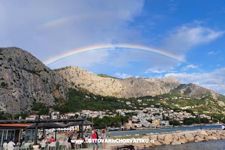  Calypso Diving Apartamenty – foto 17