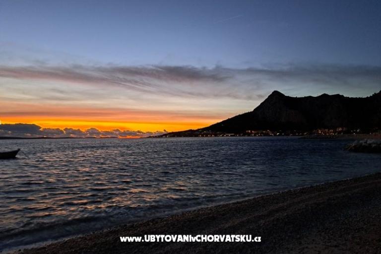  Calypso Diving Apartamenty – foto 18