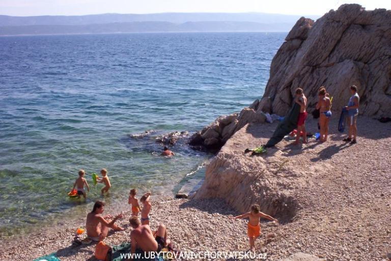 KEMP Daniel – foto 5